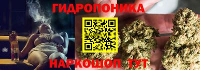 МДПВ Тула