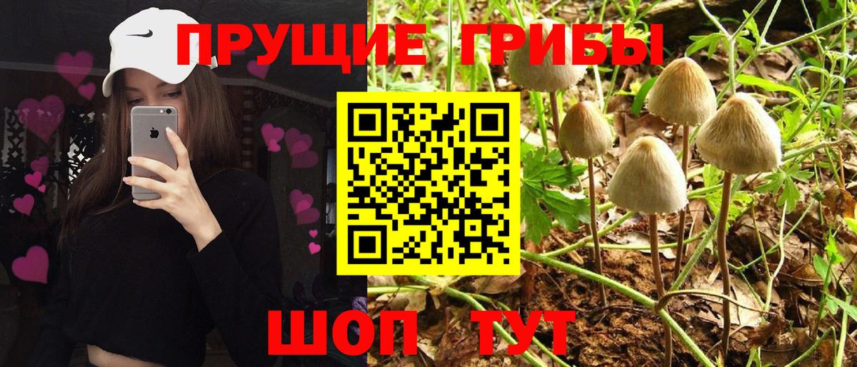 Галлюциногенные грибы MAGIC MUSHROOMS Новоалександровск
