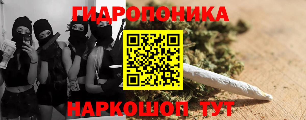 Канабис семена  Вход с VPN  Новоалександровск  Конопля VHQ 